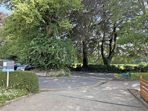 Photo 19- click for photo gallery